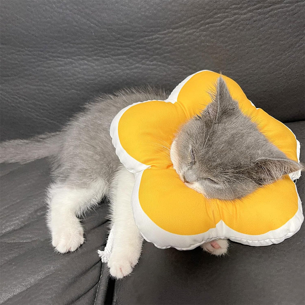 Cute Flower Cat Cone Collar
