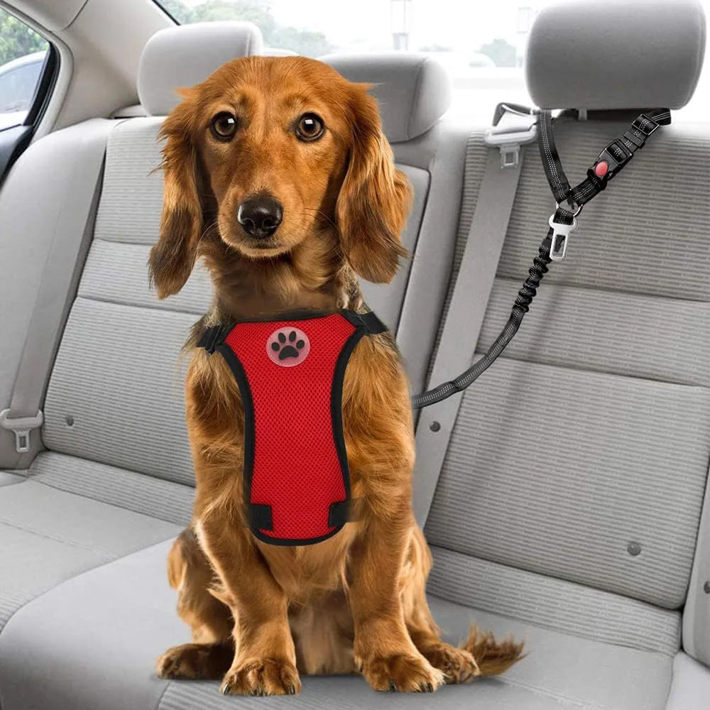 2Pcs Removable Dog Seat Belt Harness for Car Adjustable Elastic Bungee - Black