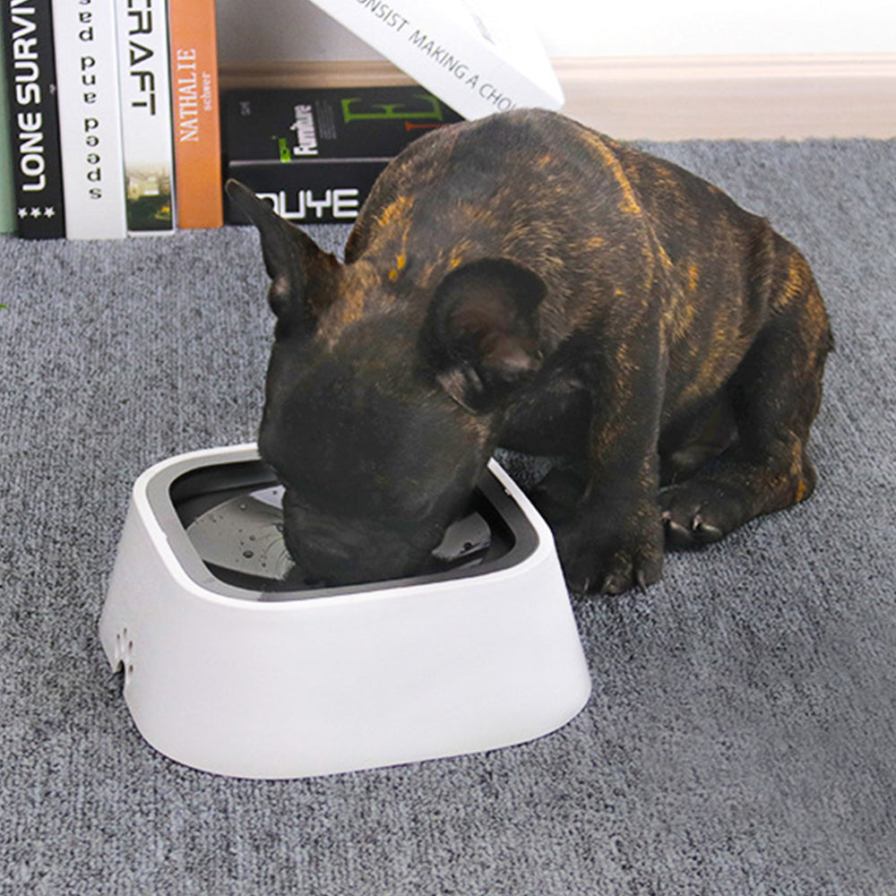 1.5L Pet Dog Cat Water Bowl No-Spill Slow Feeder Grey