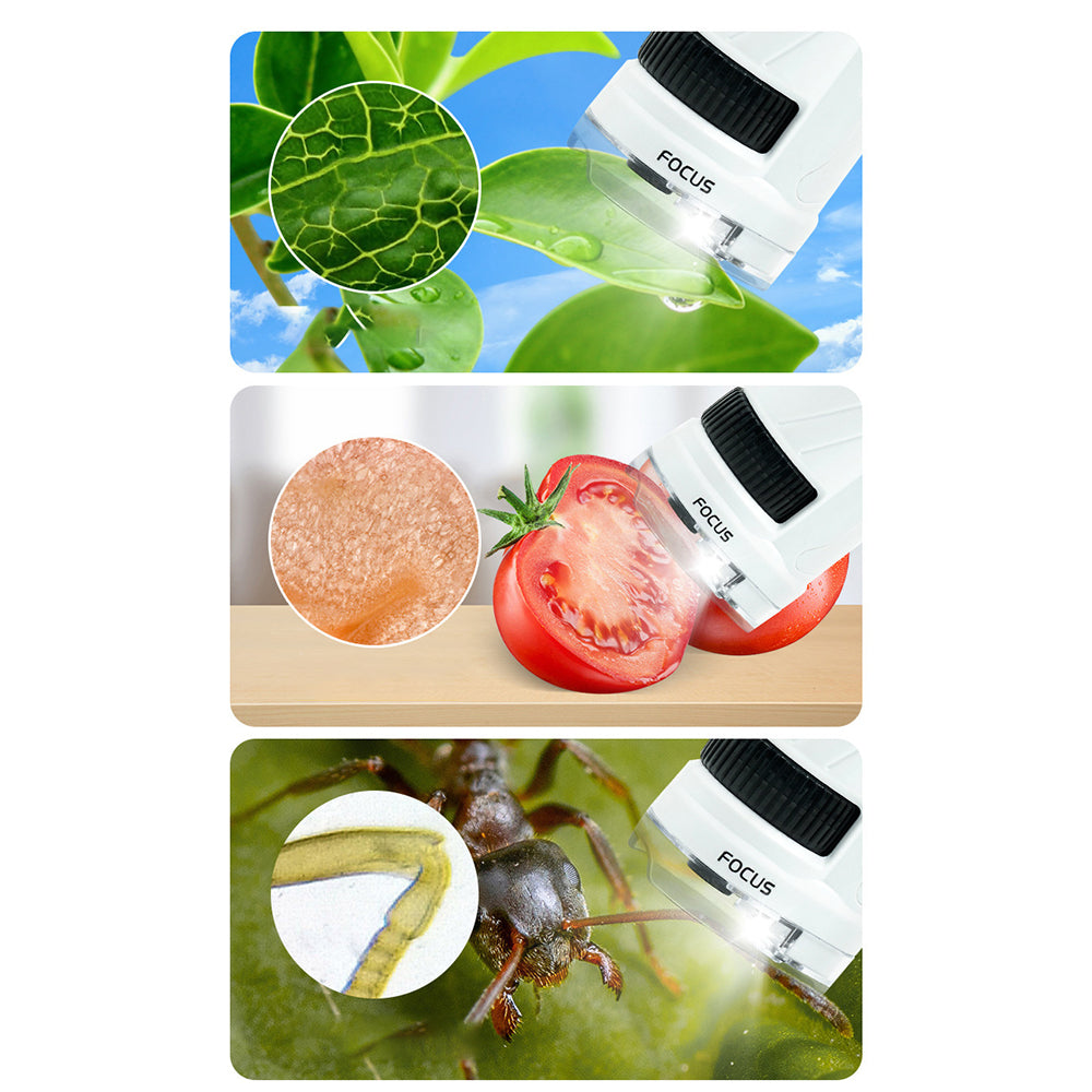 12Pcs Specimen Slides for Portable Pocket Handheld Microscope