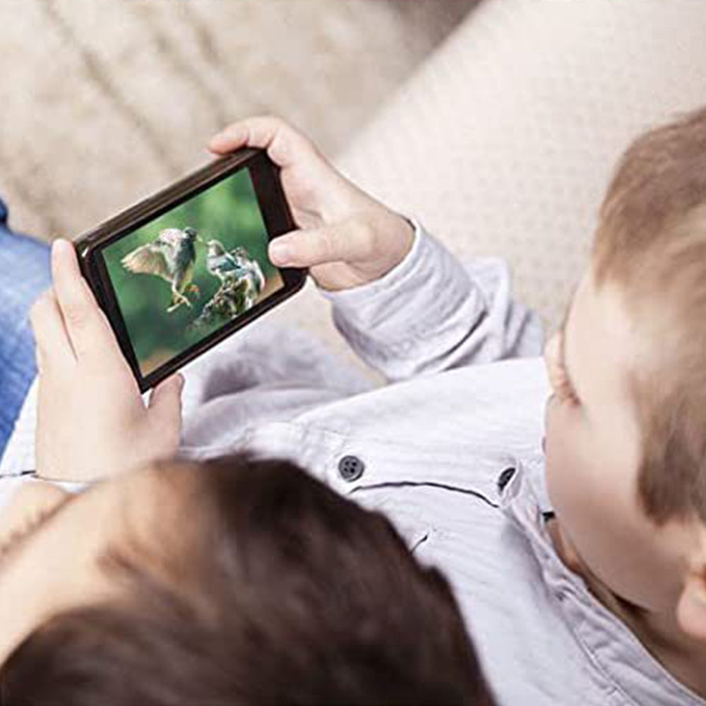 Smart Bird Feeder with Camera 1080P WiFi Auto Capture Bird Motion Detection