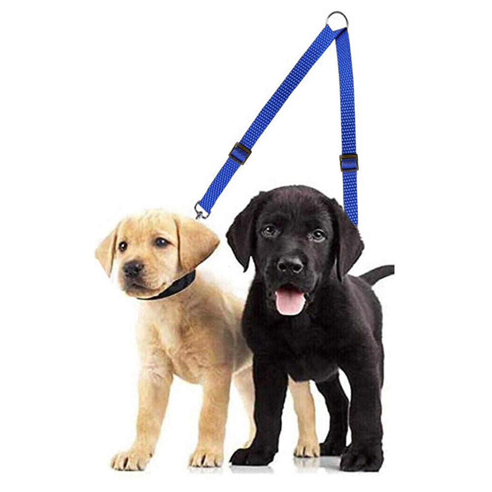 Adjustable Dual Dog Leash Lead Walk 2 Dogs with One Lead Coupler Blue XL