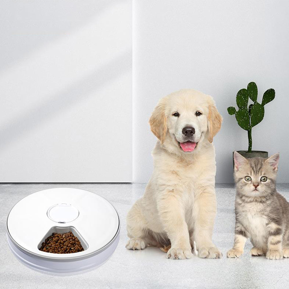 Automatic Cat Feeder with 6 Meals Digital LCD Pet Feeder Food Bowl with Timer
