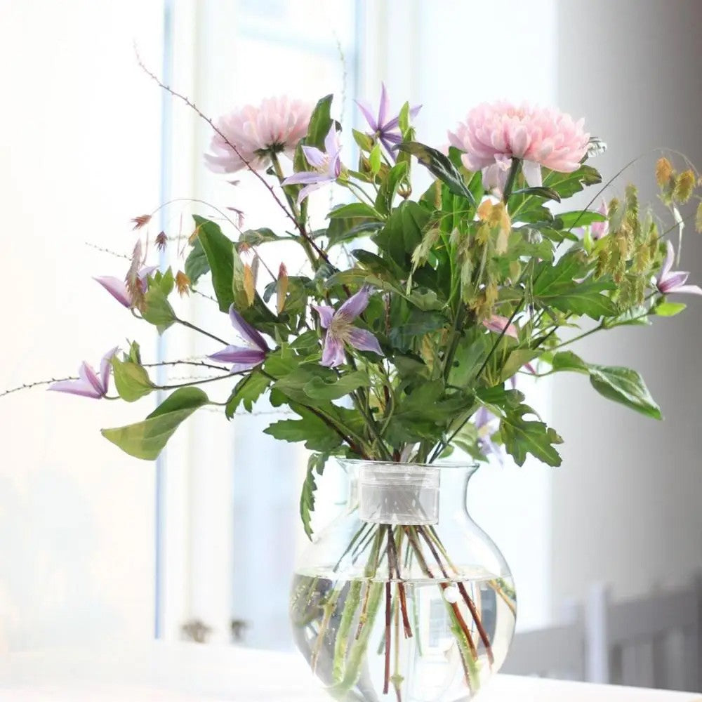 Spiral Ikebana Stem Holder for Vases DIY Flower Arrangement Holder - Clear - S