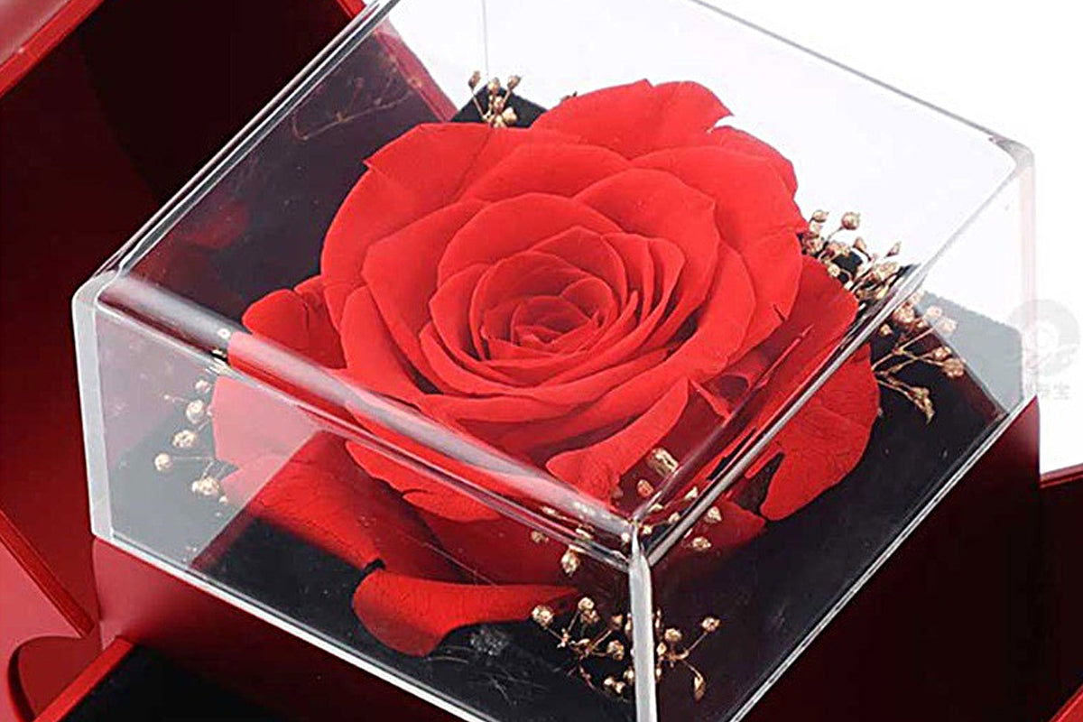 Eternal Preserved Rose Necklace with Box Set for Mom Girlfriend Wife