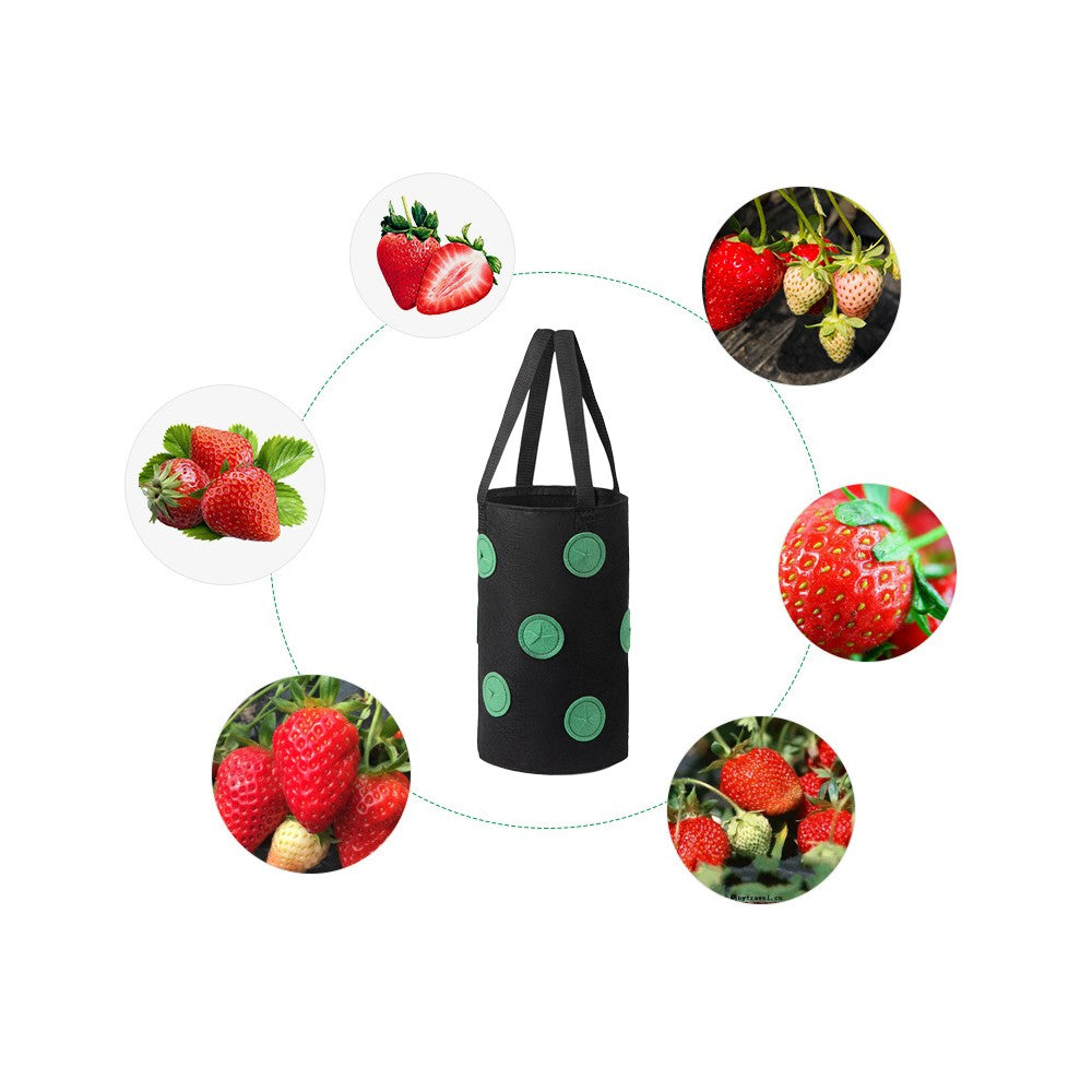 1Pc 3 Gallon Strawberry Grow Bag 12-Hole Vegetables Grow Hanging Bag - Black