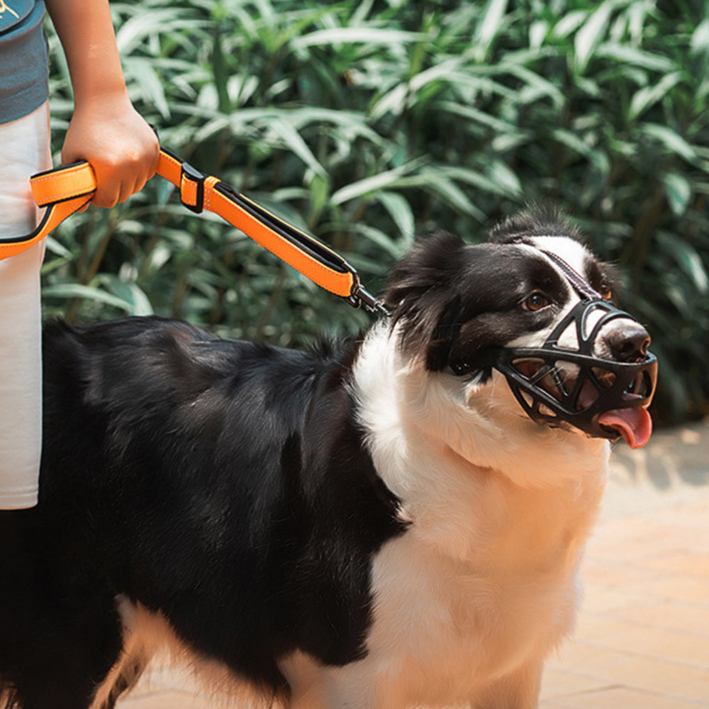 Adjustable Pet Dog Mask Bark Bite Mesh Mouth Muzzle Anti Stop Chewing M