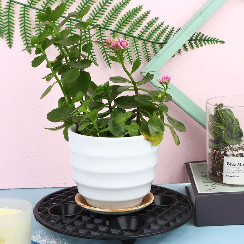 5Pcs Plant Level Pot Elevator Plant Pot Saucer for Garden Patio Potted Plant