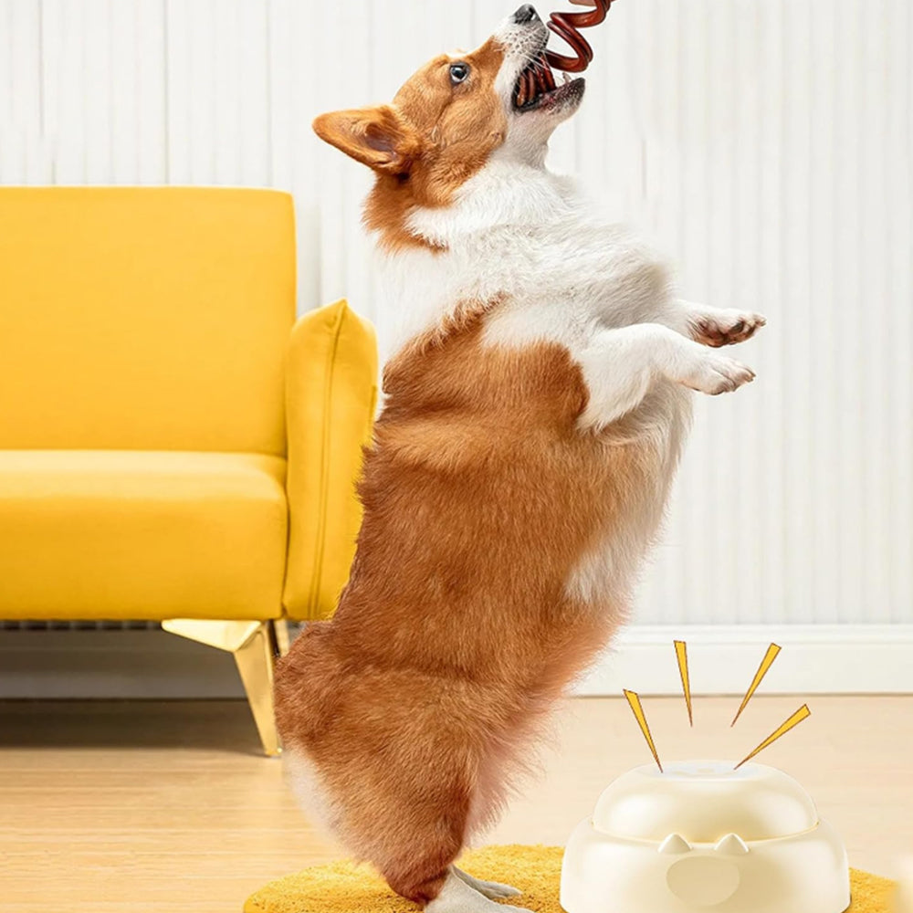 Pet Communication Button Toy Recordable Speaking Button for Pet Training White