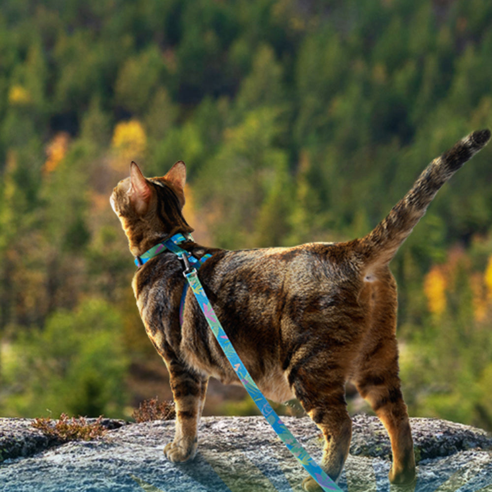 Cat Harness and Leash Set Escape Proof Adjustable Strap H-Shaped Harness Green