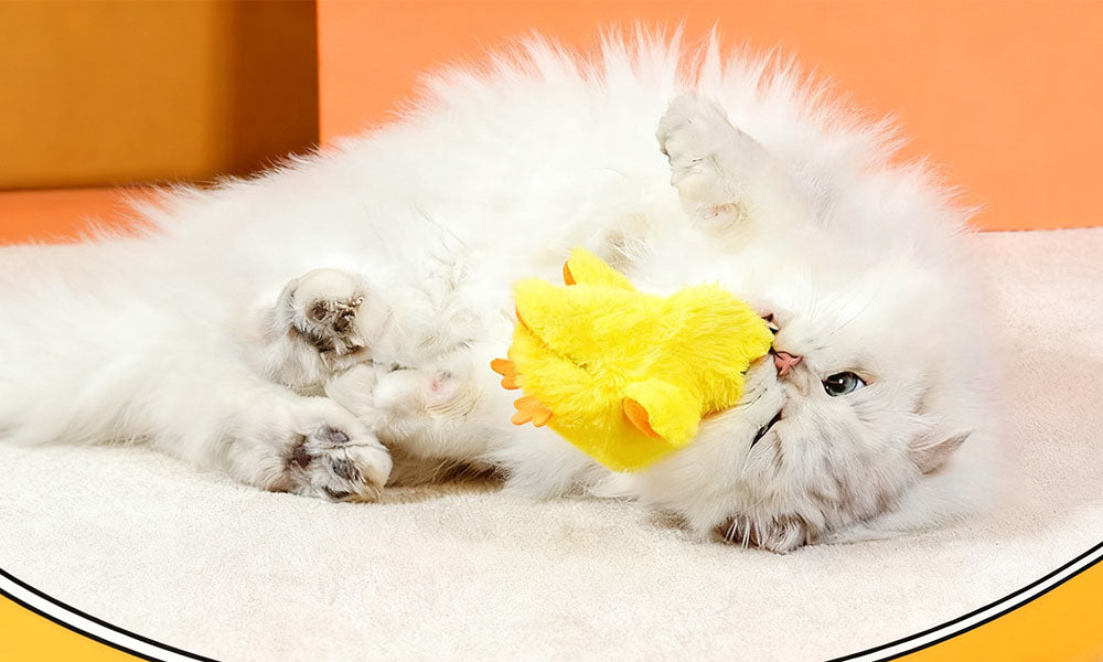 Electric Interactive Cat Toy – Flapping Plush Duck USB Rechargeable