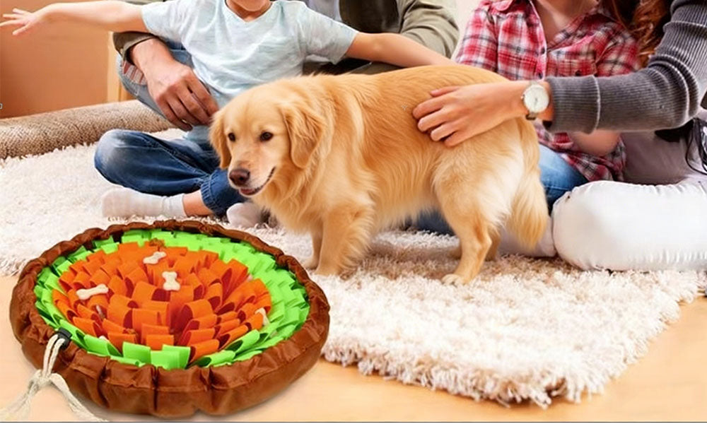 Dog Snuffle Mat Slow Feeder Puzzle Toy for Mental Enrichment and Interactive Play
