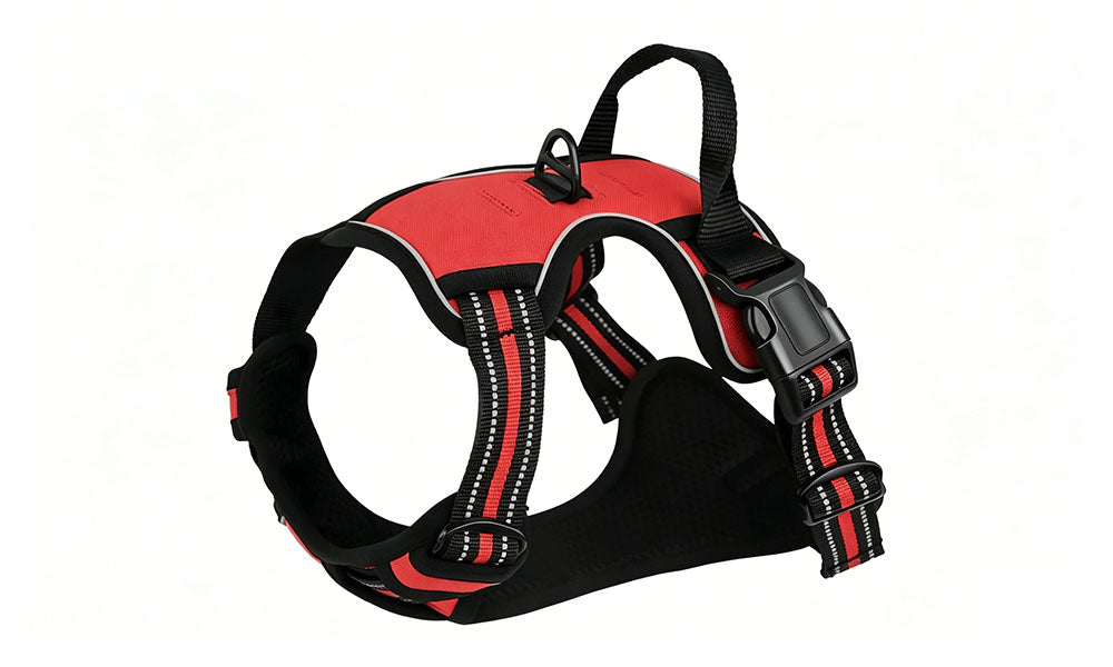 Adjustable Reflective Dog Harness and Leash Set Oxford Cloth Pet Chest Walking Set