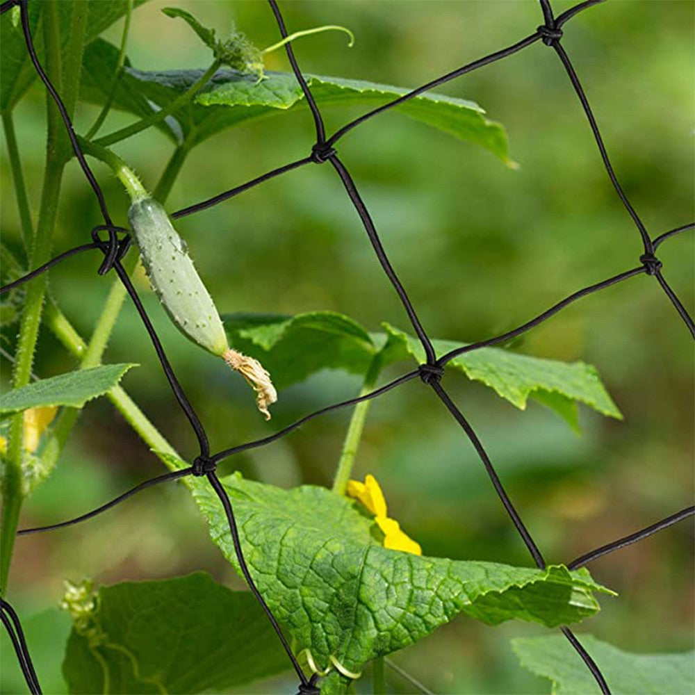 1Pc 40x40cm Elasticated Grow Tent Trellis Net Netting Scrog Trellis Net