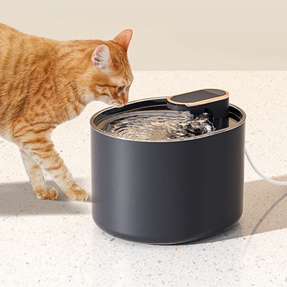3L Pet Water Fountain Automatic Electric Drinking Dispenser Filter Navy Blue