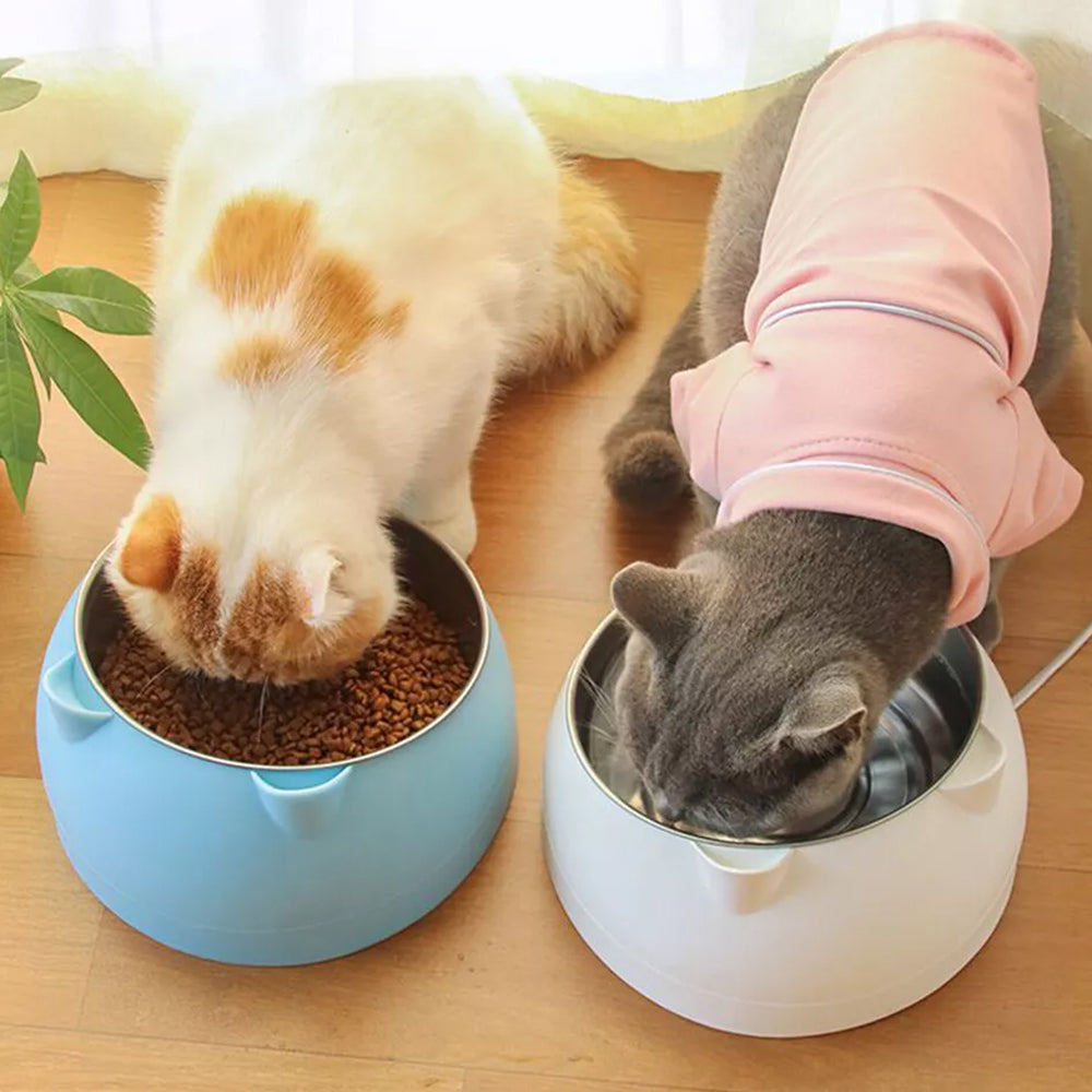 Tilted Angle Dog Bowl Slanted Stainless Steel Dog Cat Food Pet Feeder White