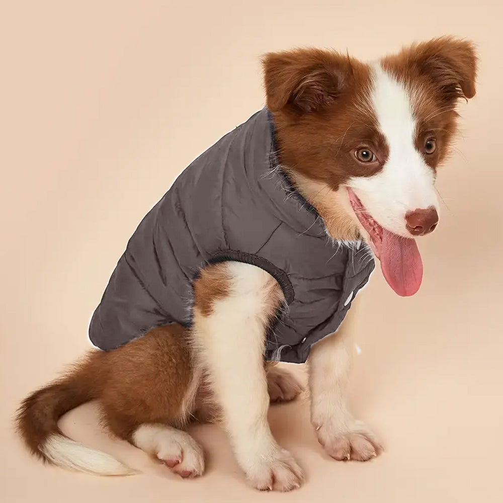 Dog Warm Coat Thickened Padded Windbreaker Vest Jacket Winter Coffee L