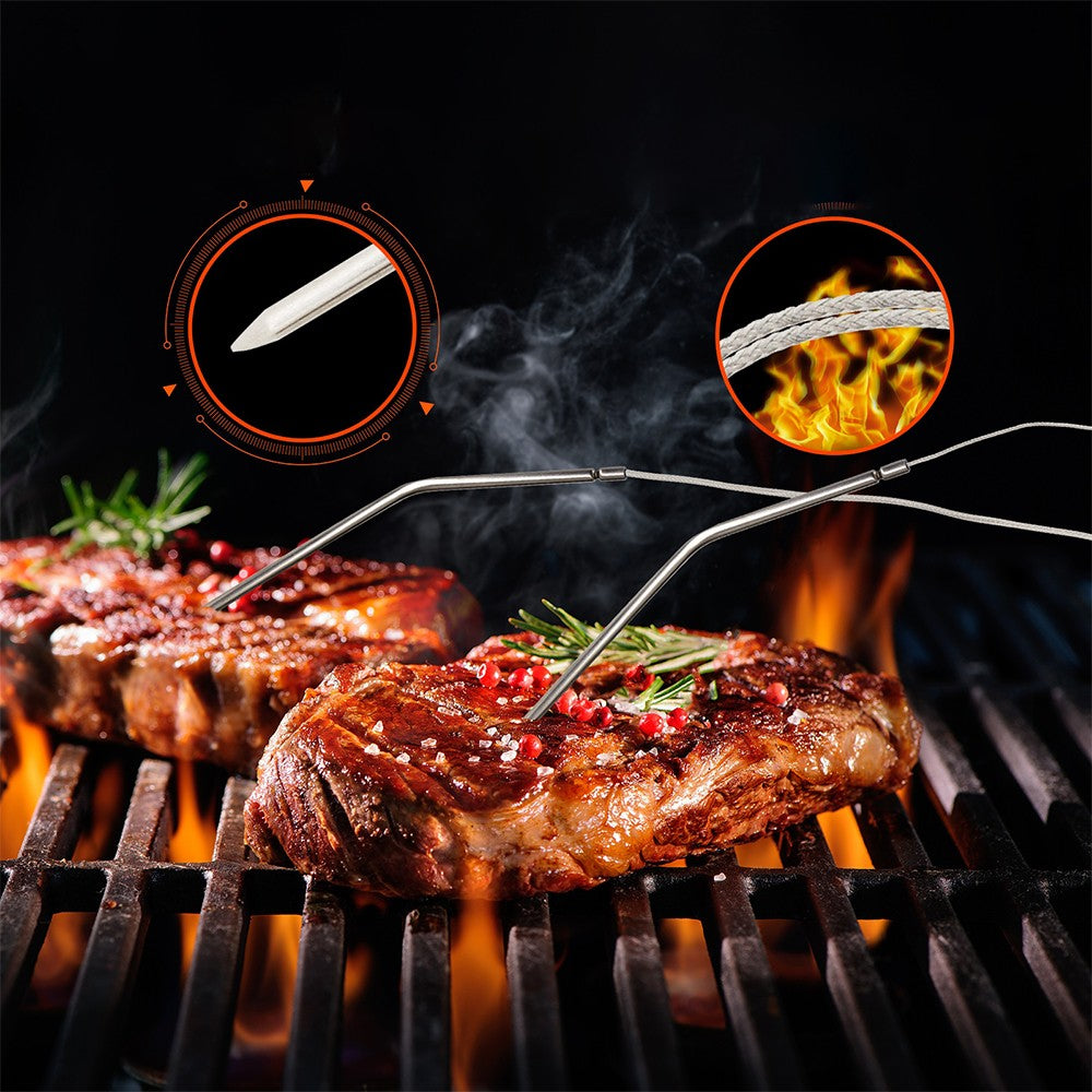 Wireless Meat Thermometer Digital BBQ Grill Thermometer with 2 Probes
