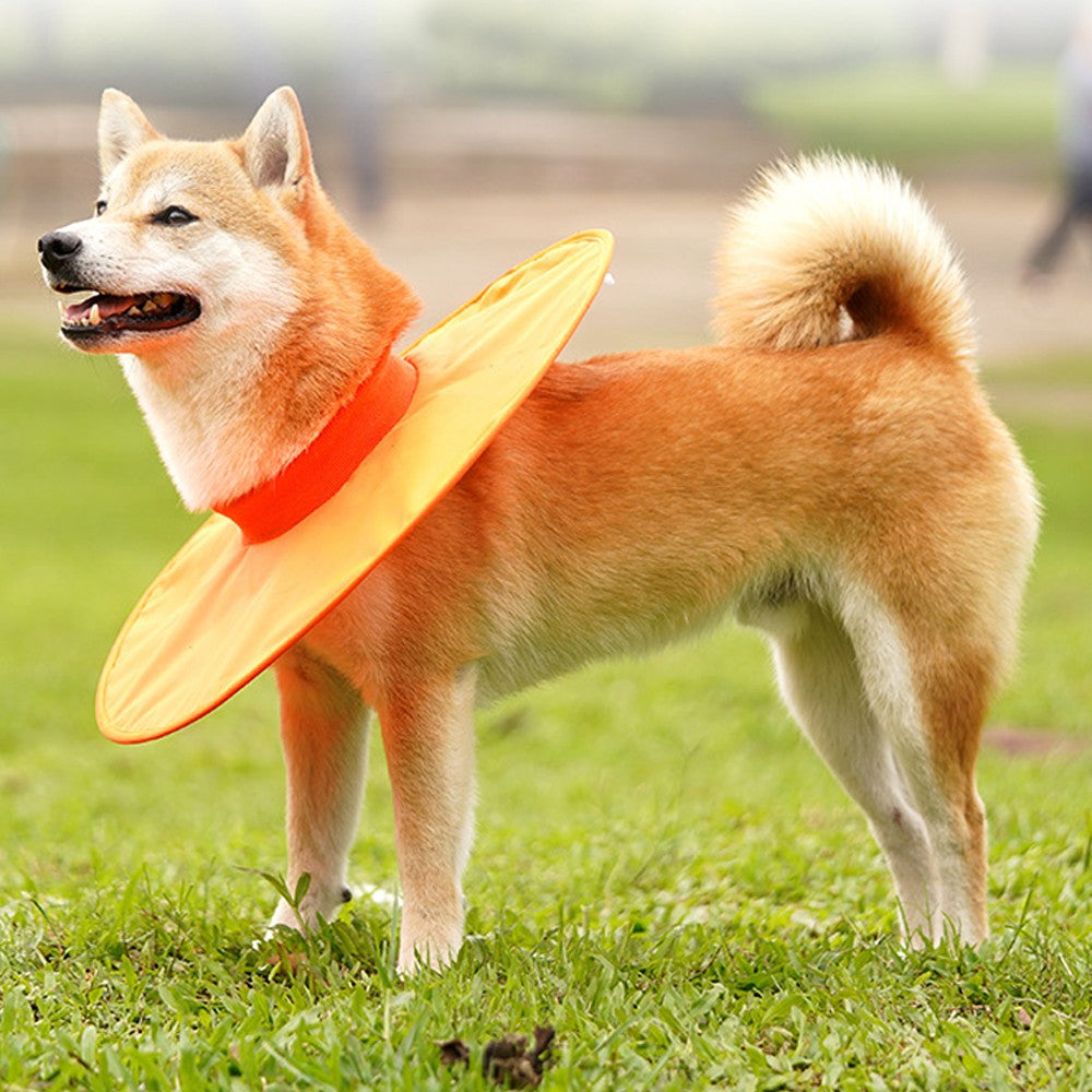 Dog Recovery Collar Adjustable Dog E-Collar Dog Cone Collar Alternatives - Orange XL