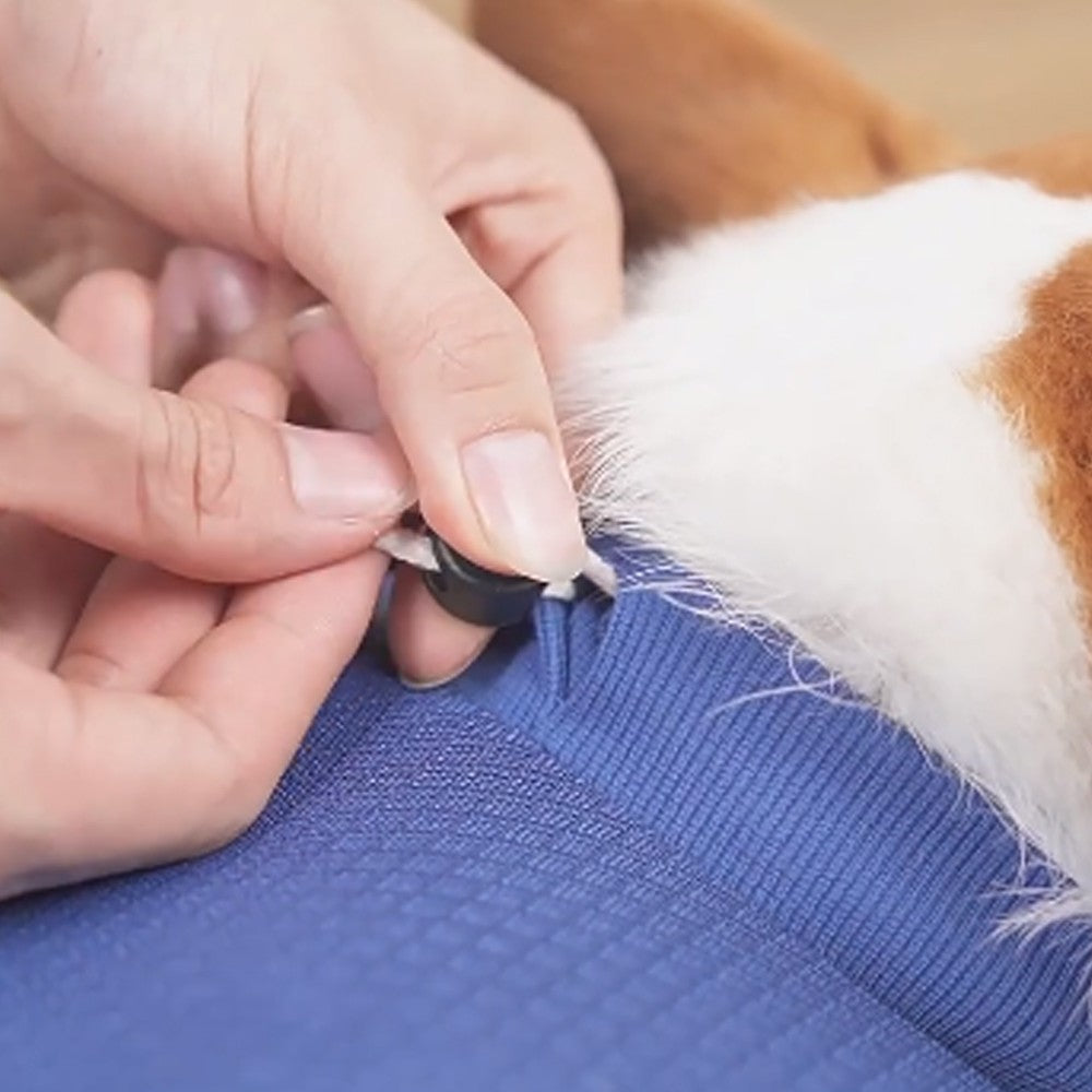 Dog Recovery Collar Adjustable Dog E-Collar Dog Cone Collar Alternatives - Blue M
