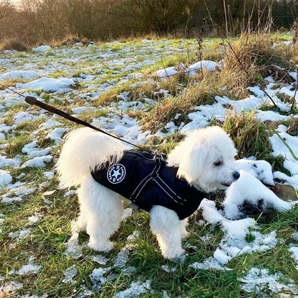 Waterproof Warm Winter Dog Harness Coat Blue 2XL Size