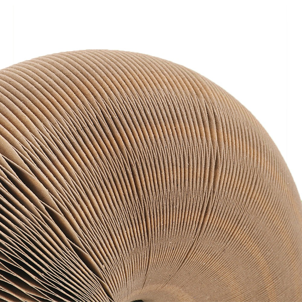 1Pc Magic Organ Cat Claw Scratching Board Cat Toy with Toy Bell Ball