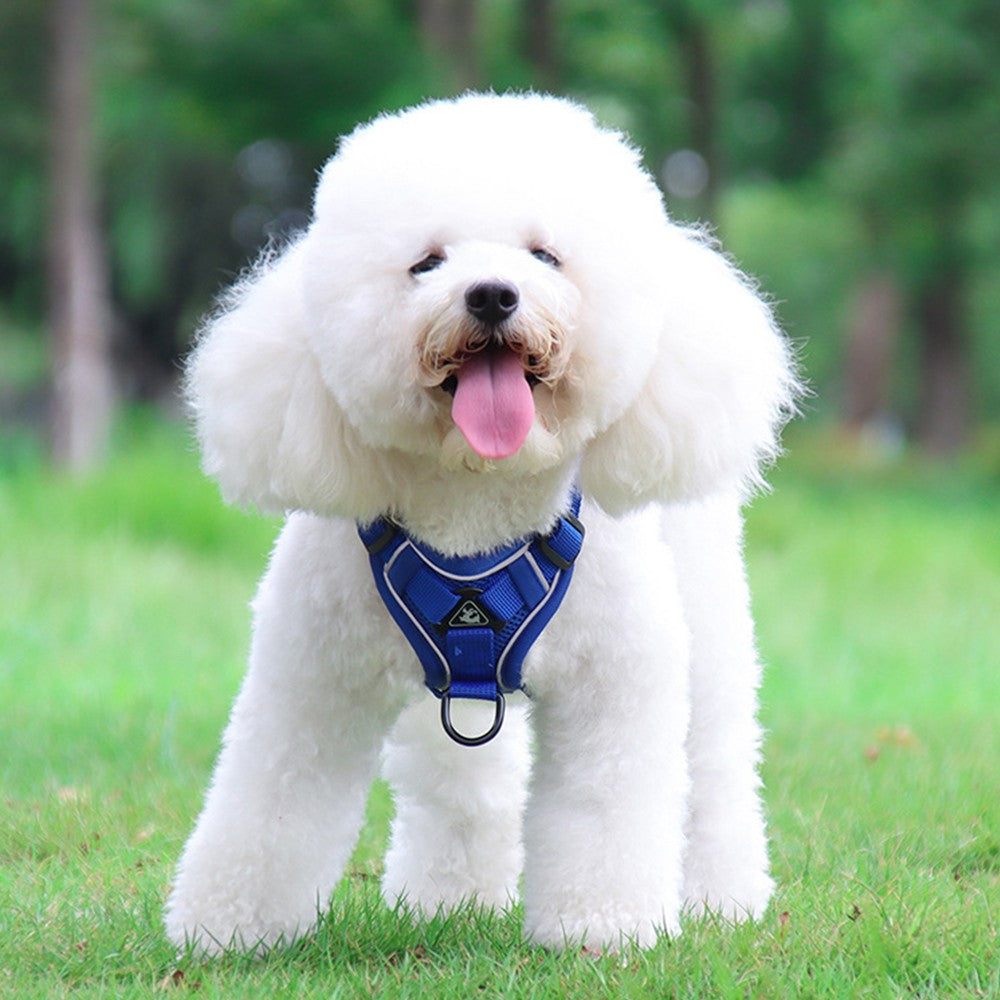 Dog Harness Leash Set No Pull Pet Vest Leash with Reflective Strip Blue L