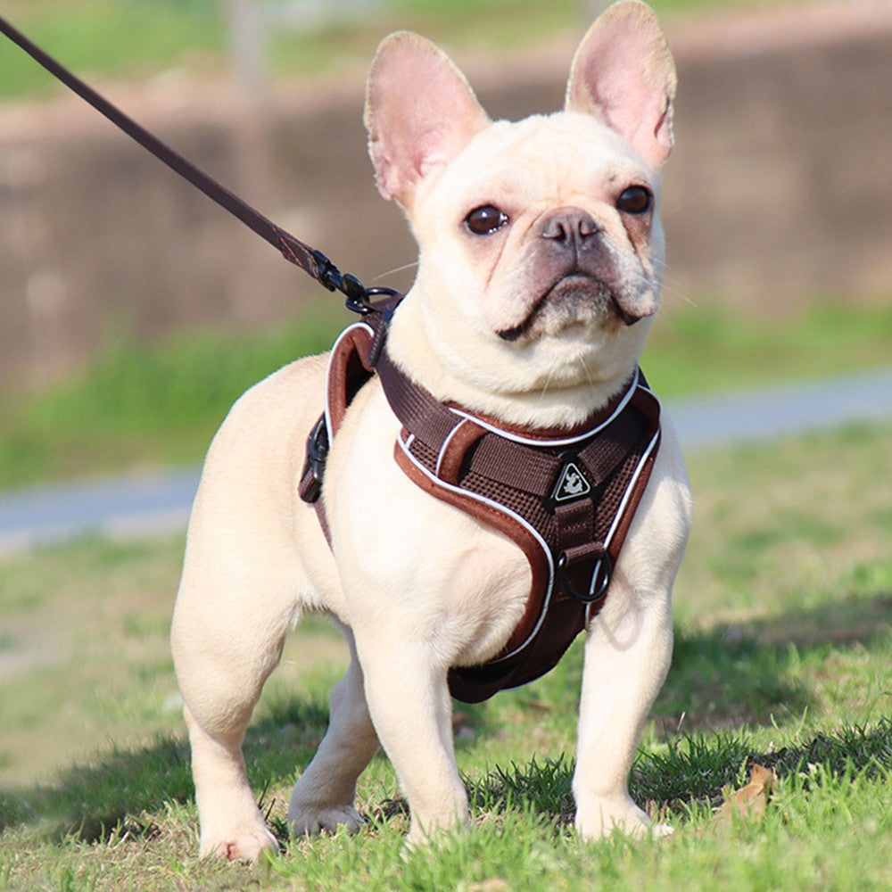 Dog Harness Leash Set No Pull Pet Vest Leash with Reflective Strip Coffee XL