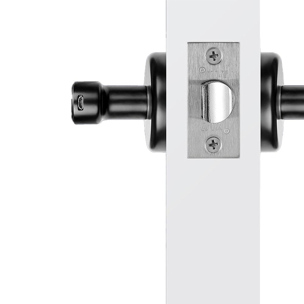 Black Smart Fingerprint Door Lock Set Electronic Handle Door Lock Digital Password Door Lock