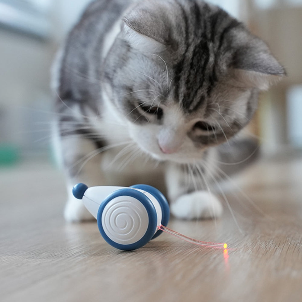 LED Light Up Electric Mouse Automatic Cat Toy Pet Toy
