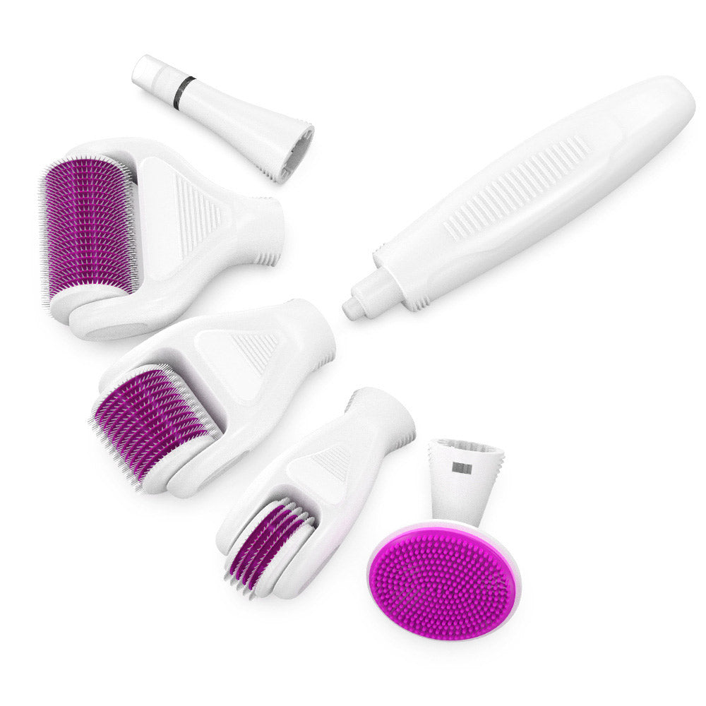 One Set of Personal Care 6-in-1 Derma Rollers-Purple