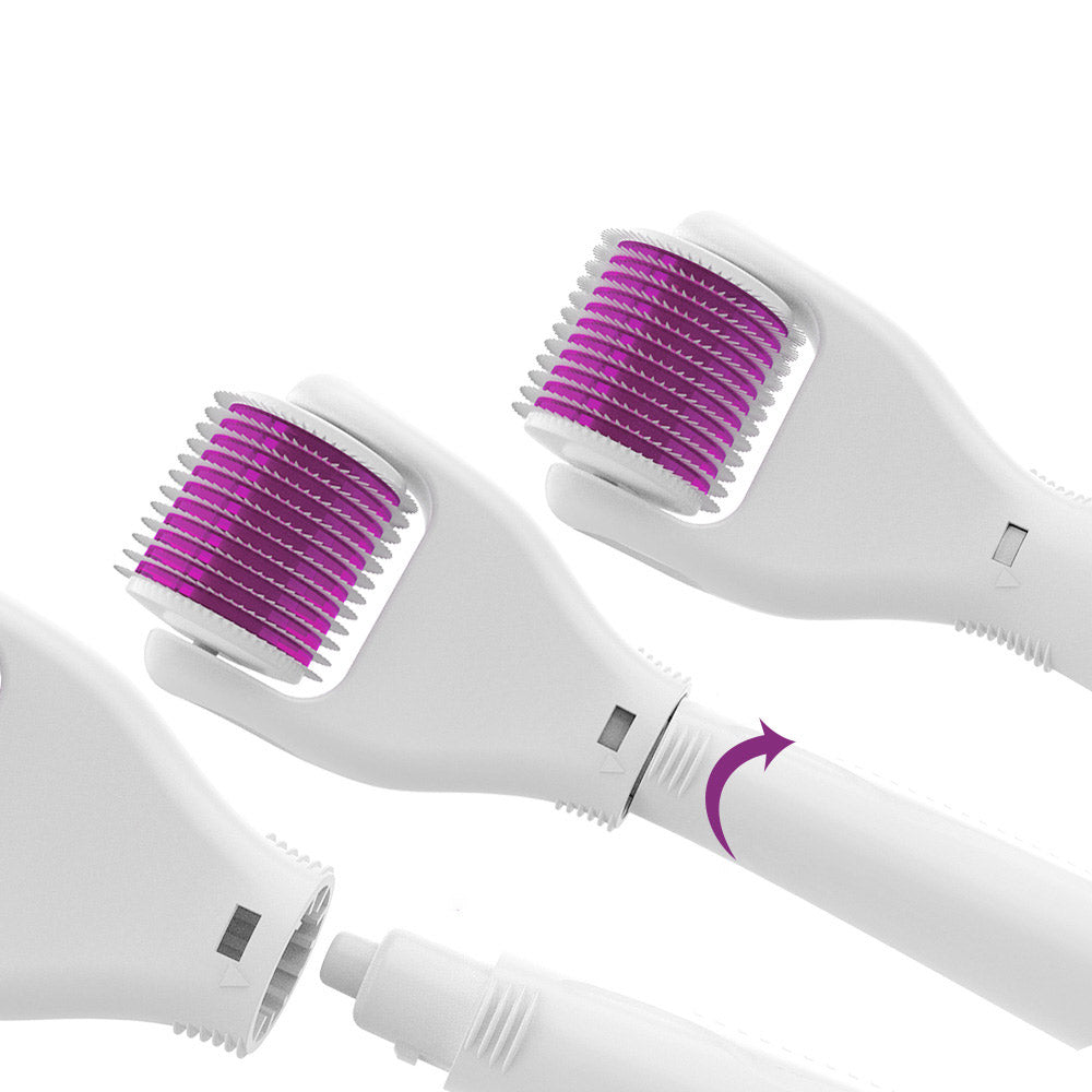 One Set of Personal Care 6-in-1 Derma Rollers-Purple