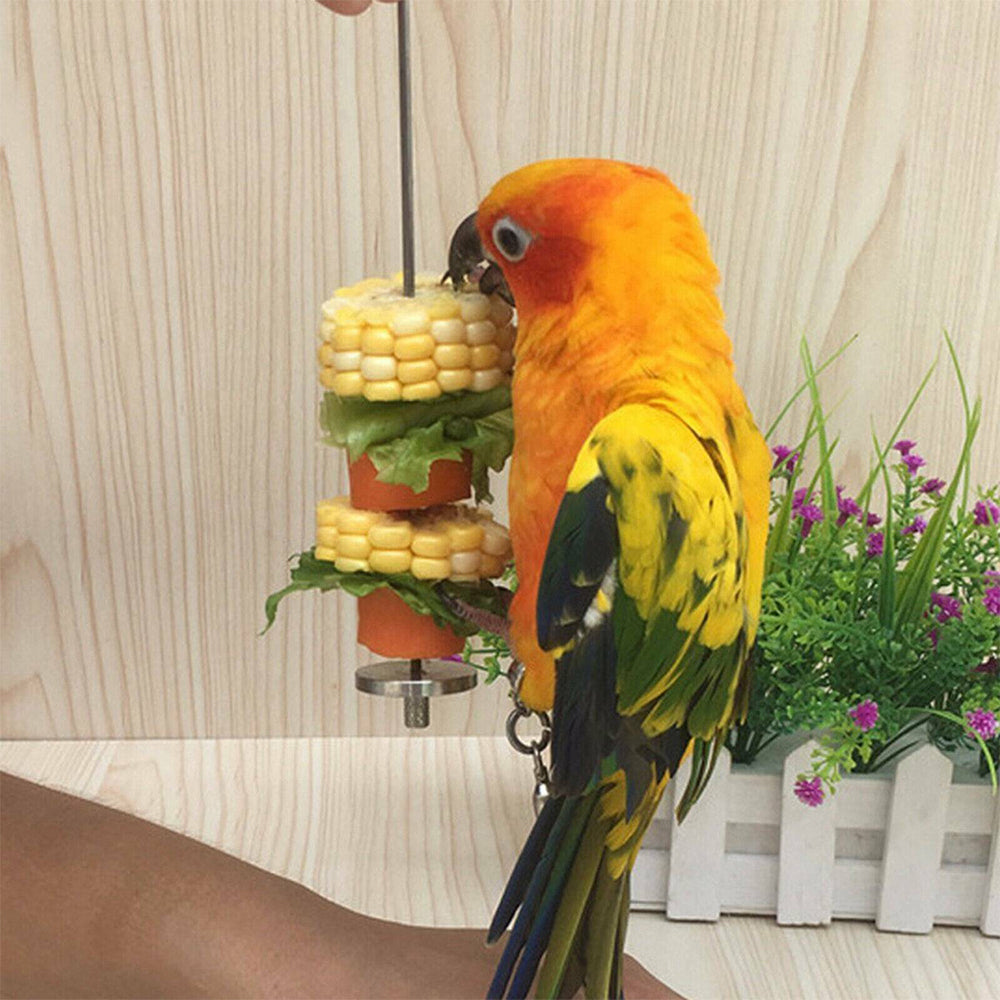 1Pcs Stainless Steel Bird Parrot Cage Skewer Food Spear Fruit Holder