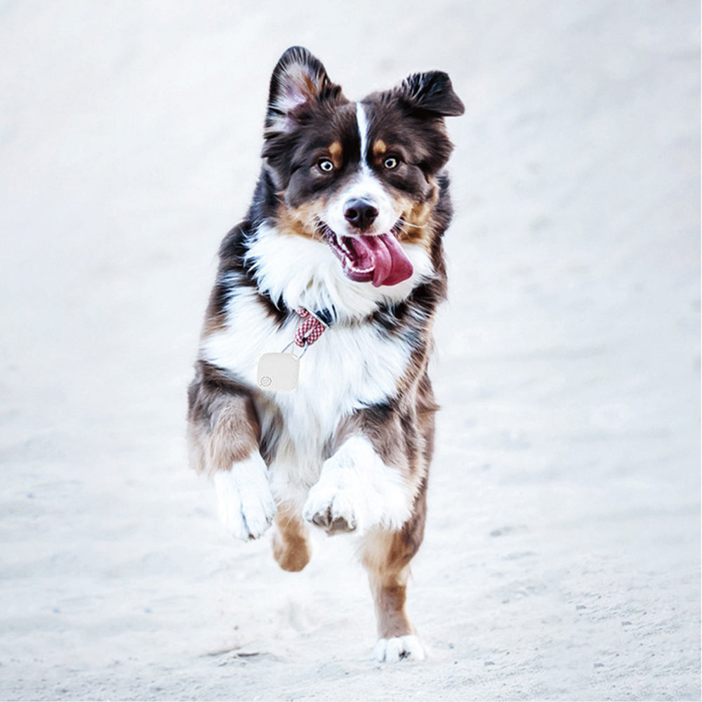 Bluetooth Key Finder Pet Tracker White