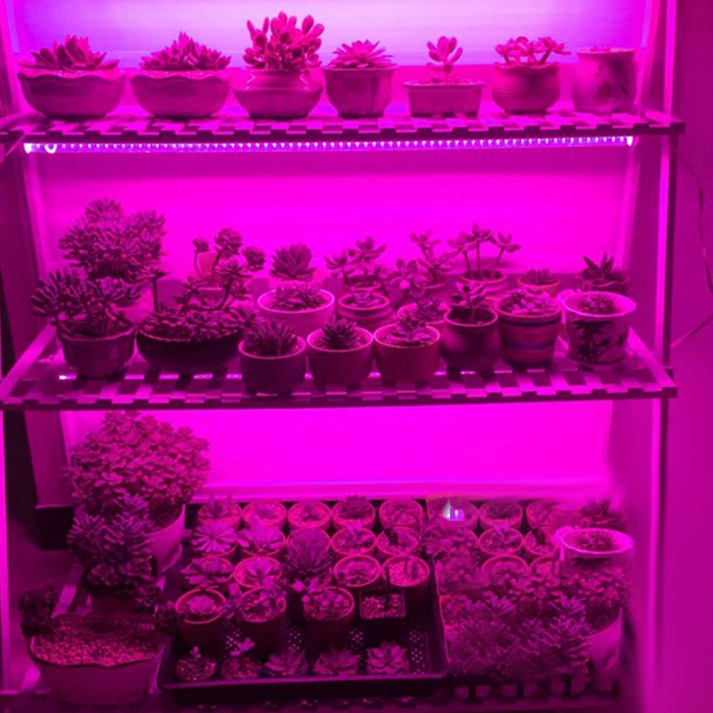 5 Meters Full Spectrum LED Plant Grow Light Strip USB Indoor Plant Grow Lamp