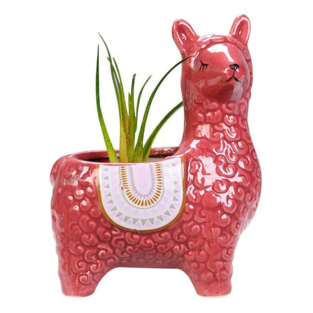 2 X Alpaca Ceramic Flower Pots Garden Home Decor