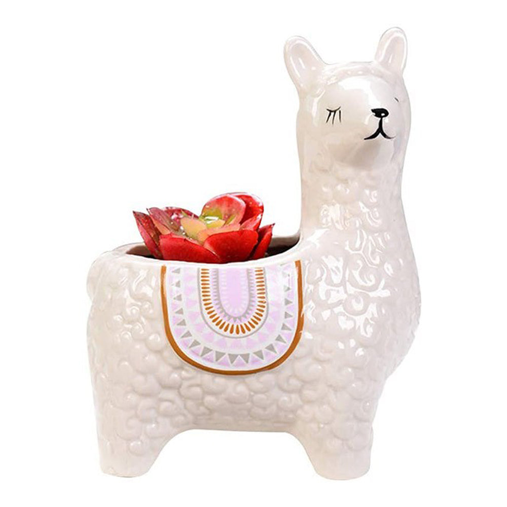 2 X Alpaca Ceramic Flower Pots Garden Home Decor