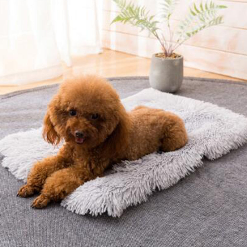 2 Pack Grey 65 x 95cm Plush Soft and Warm Pet Pad Pet Bed