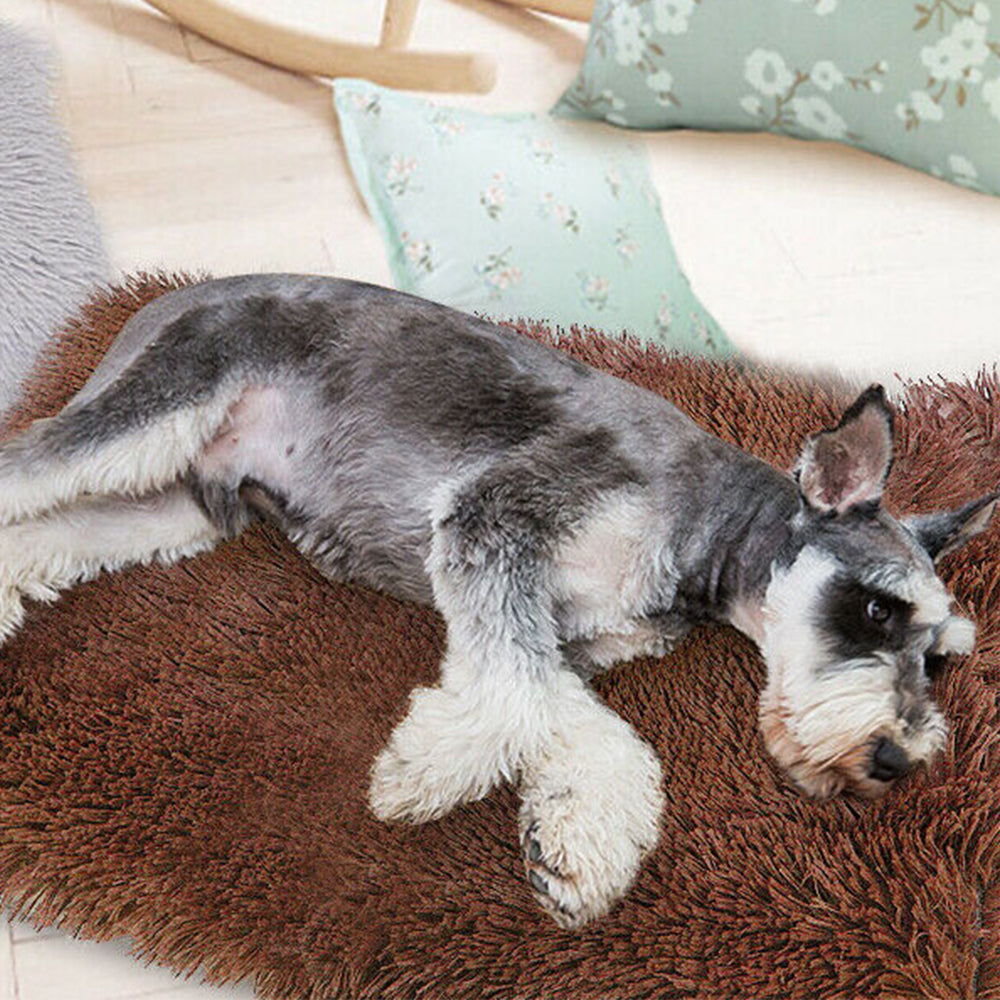 2 Pack Coffee 32 x 47cm Plush Soft and Warm Pet Pad Pet Bed