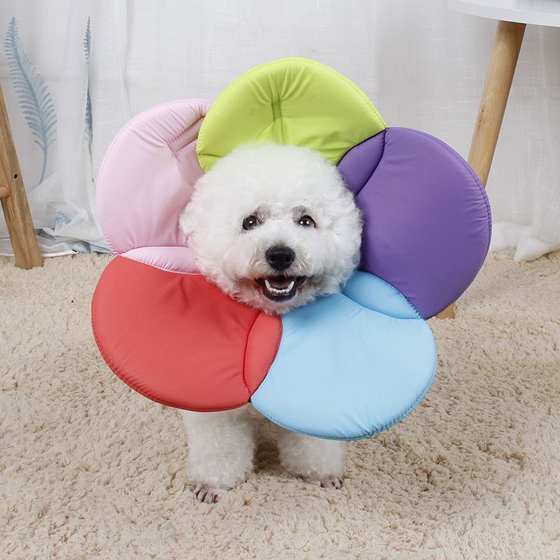 Colourful Soft Pet E Collar Adjustable Wound Healing Collar Anti Scratch for Dog Cat M