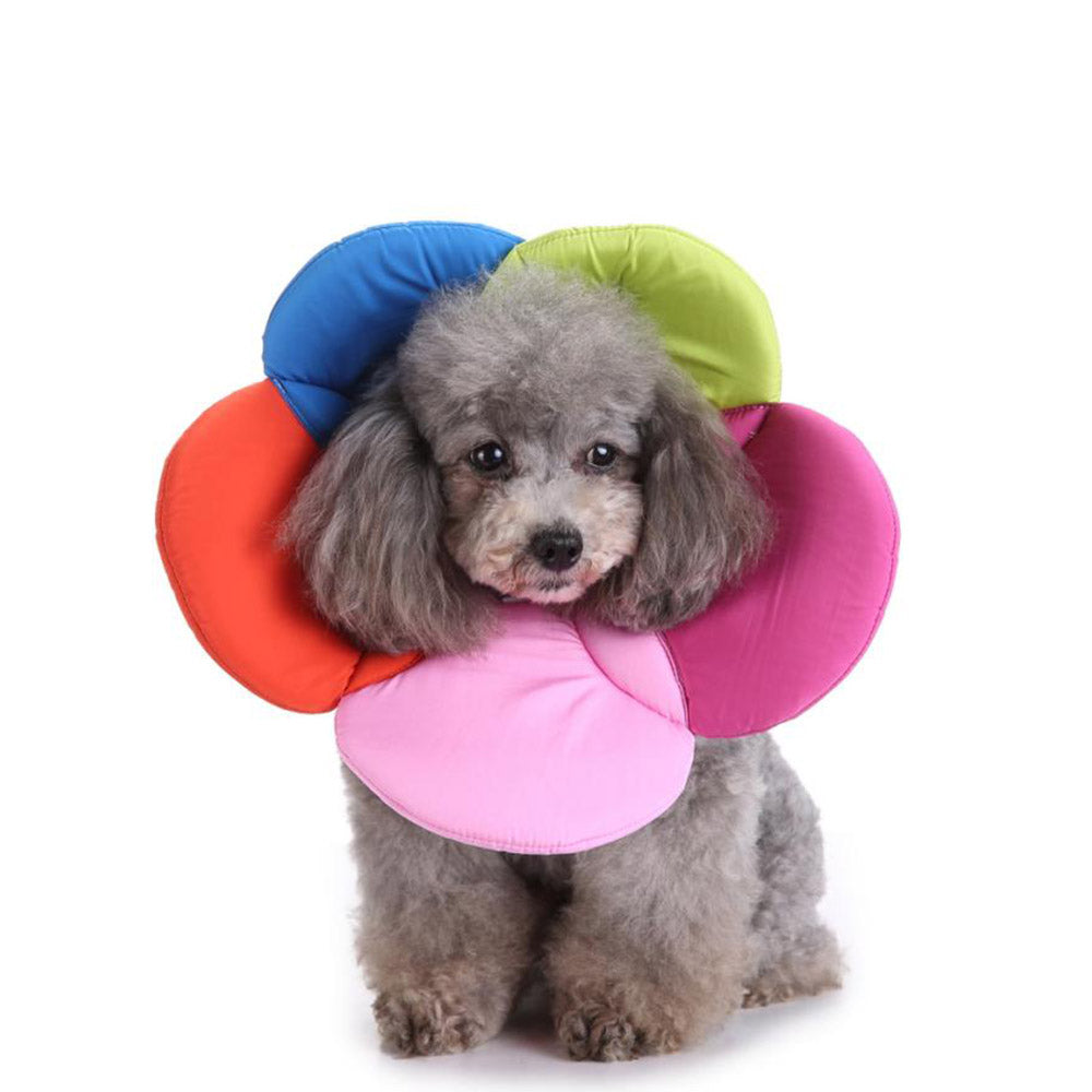 Colourful Soft Pet E Collar Adjustable Wound Healing Collar Anti Scratch for Dog Cat M