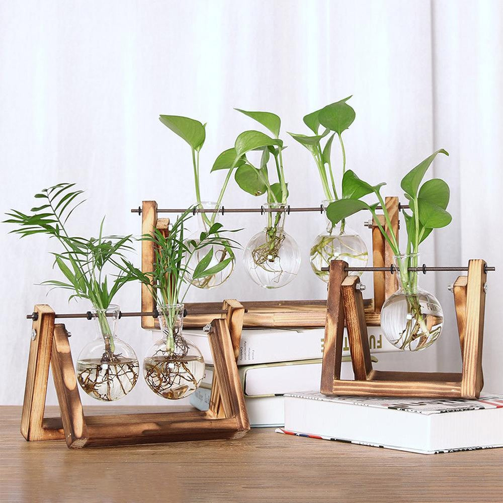 Indoor Plant Glass Pot Plant Terrarium with Wooden Stand Tabletop Glass Bulb Vase Home Garden Office Decoration Single Pot