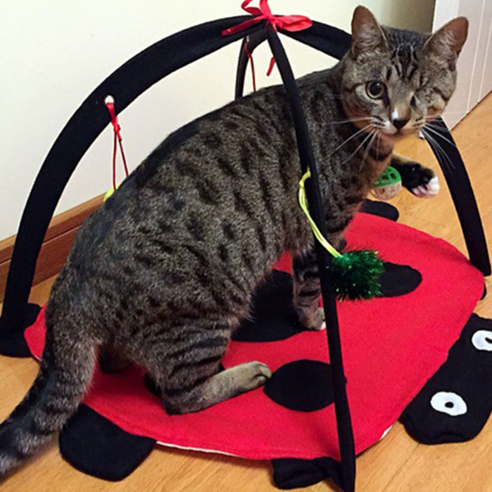 Cat Activity Center Pet Cat Toys with Hanging Toy Balls