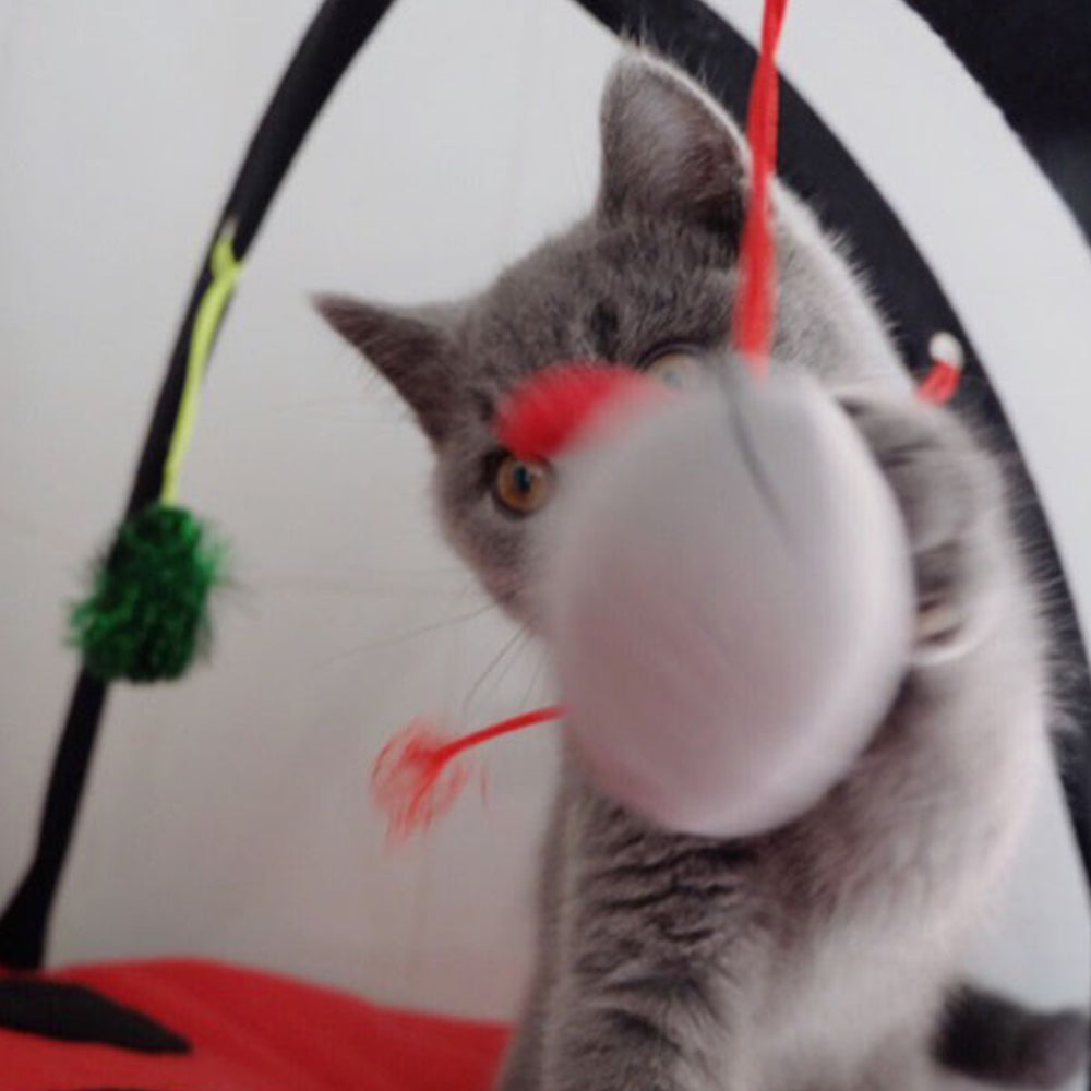 Cat Activity Center Pet Cat Toys with Hanging Toy Balls