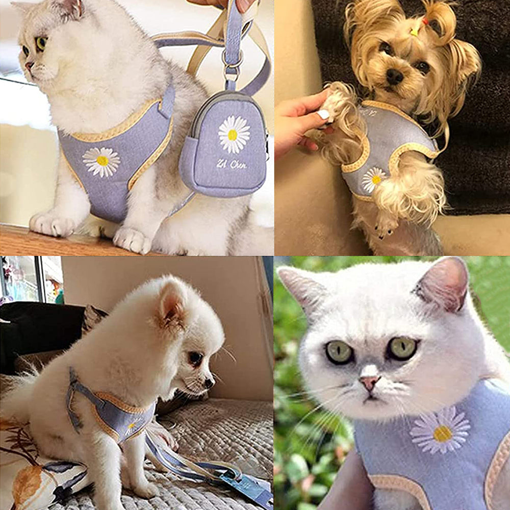 Adjustable Pet Puppy Dog Harness Walking Cat Vest with Leash and Snack Bag Light Blue S