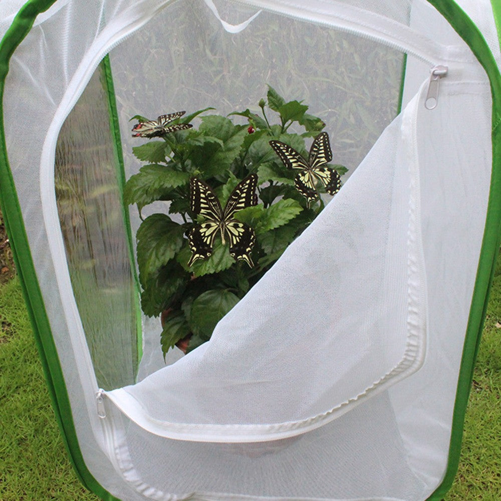 60x60x90cm Folding Insect Cage