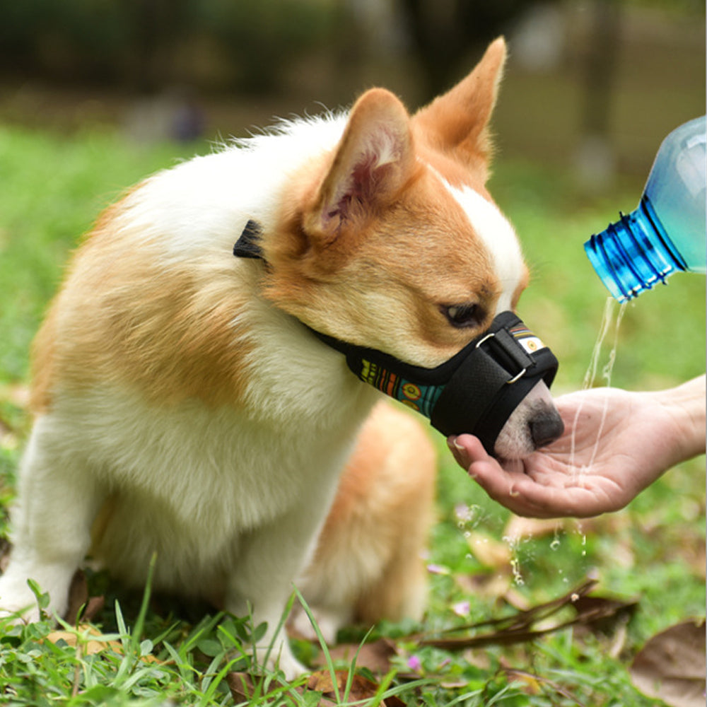 Pet Dog Muzzle Prevent Dog Barking Green Medium Size