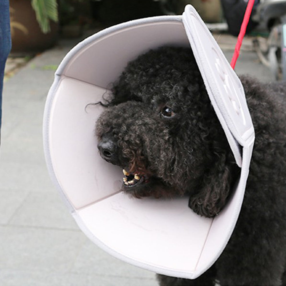 Dog Cone Adjustable Pet Cone Dog Recovery Collar Anti Lick Surgery Collar Size M