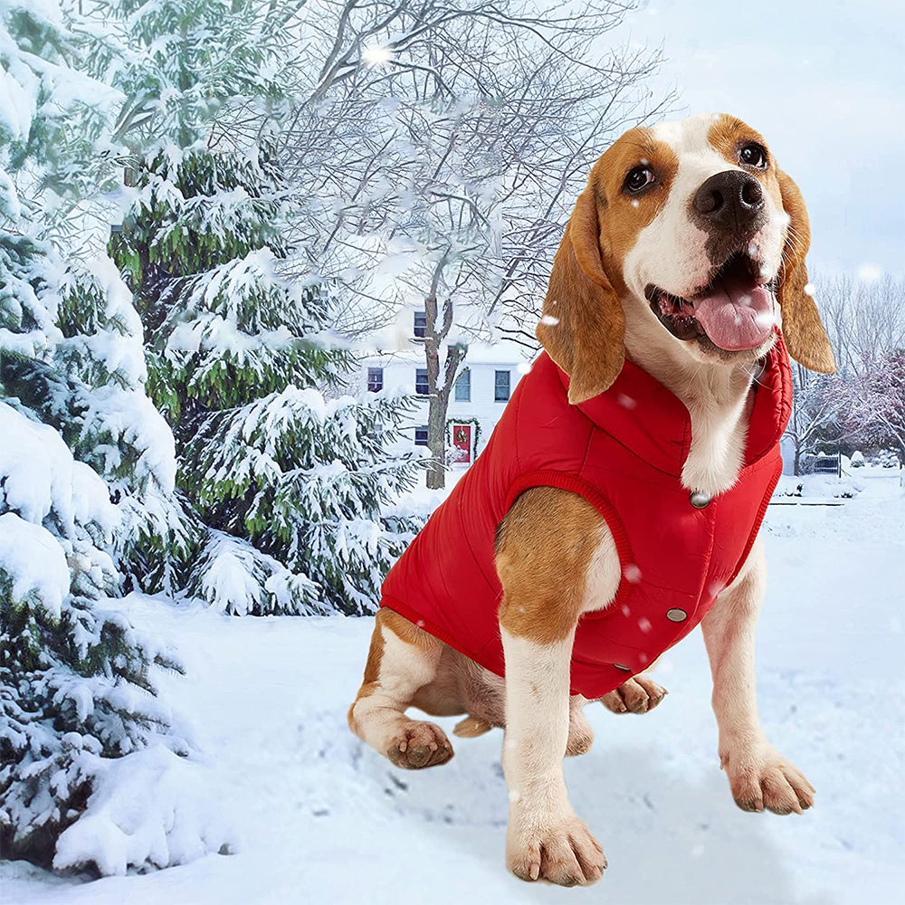 Pet Winter Clothes Dog Jacket Pet Winter Coat Red M