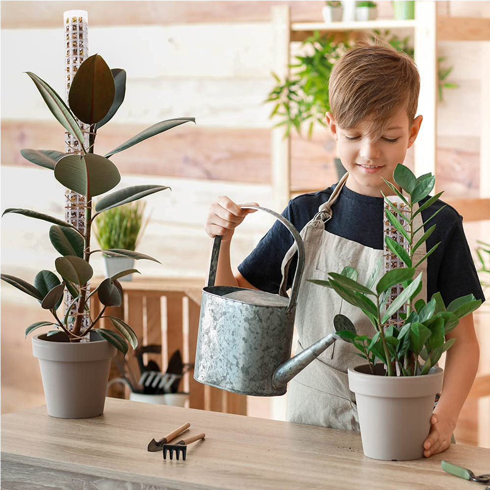 4Pcs 29cm Moss Pole Plant Stakes for Climbing Plants